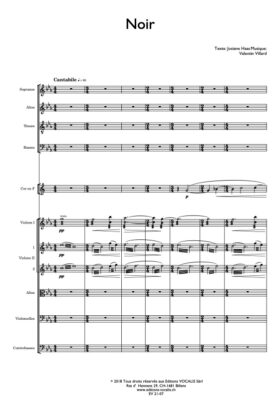 Noir (partition de direction) – Valentin Villard / Josiane Haas