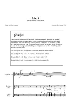 Echo II (tiré de « L&rsquo;Odyssée d&rsquo;une aurore) – Emmanuel Violi / Antoine Rosselet